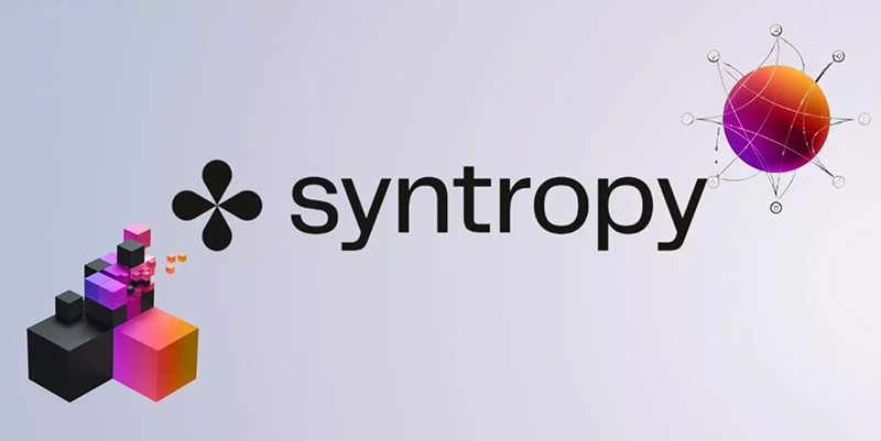 شبکه Syntropy